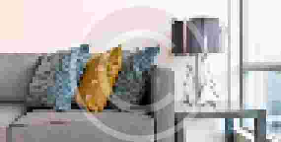 What jobs can a carpet cleaner do?