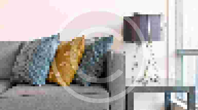 What jobs can a carpet cleaner do?